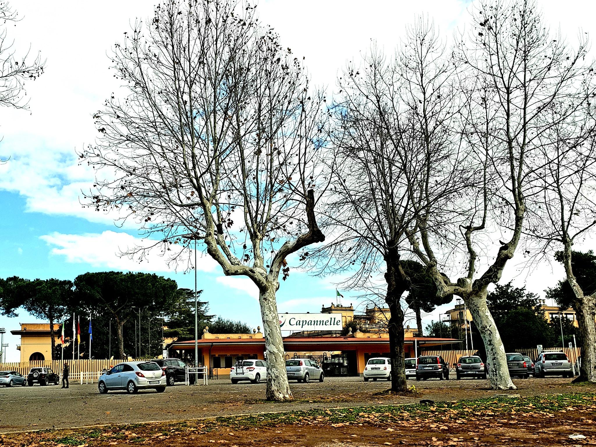 Ippodromo Capannelle